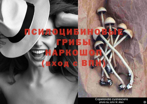 кокаин премиум Абаза