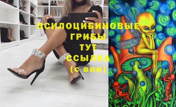 мдпв Абдулино