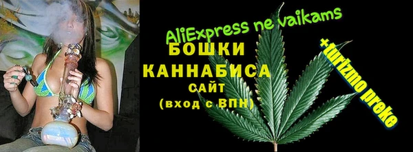 прущие грибы Приозерск