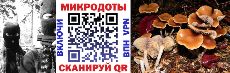 Галлюциногенные грибы ЛСД  Серафимович 